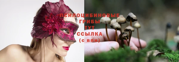 каннабис Новозыбков