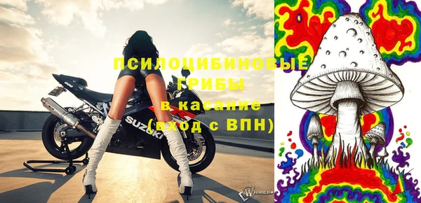 тгк Ветлуга
