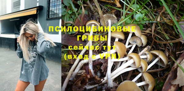 каннабис Новозыбков