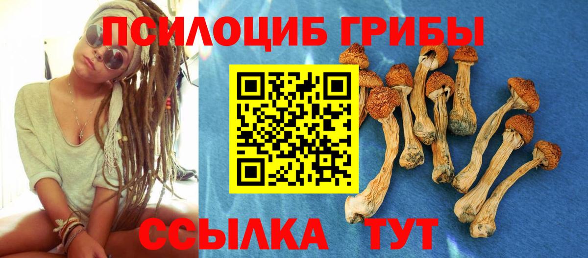 Псилоцибиновые грибы GOLDEN TEACHER  Вход с VPN  Симферополь 